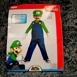 Luigi Costume